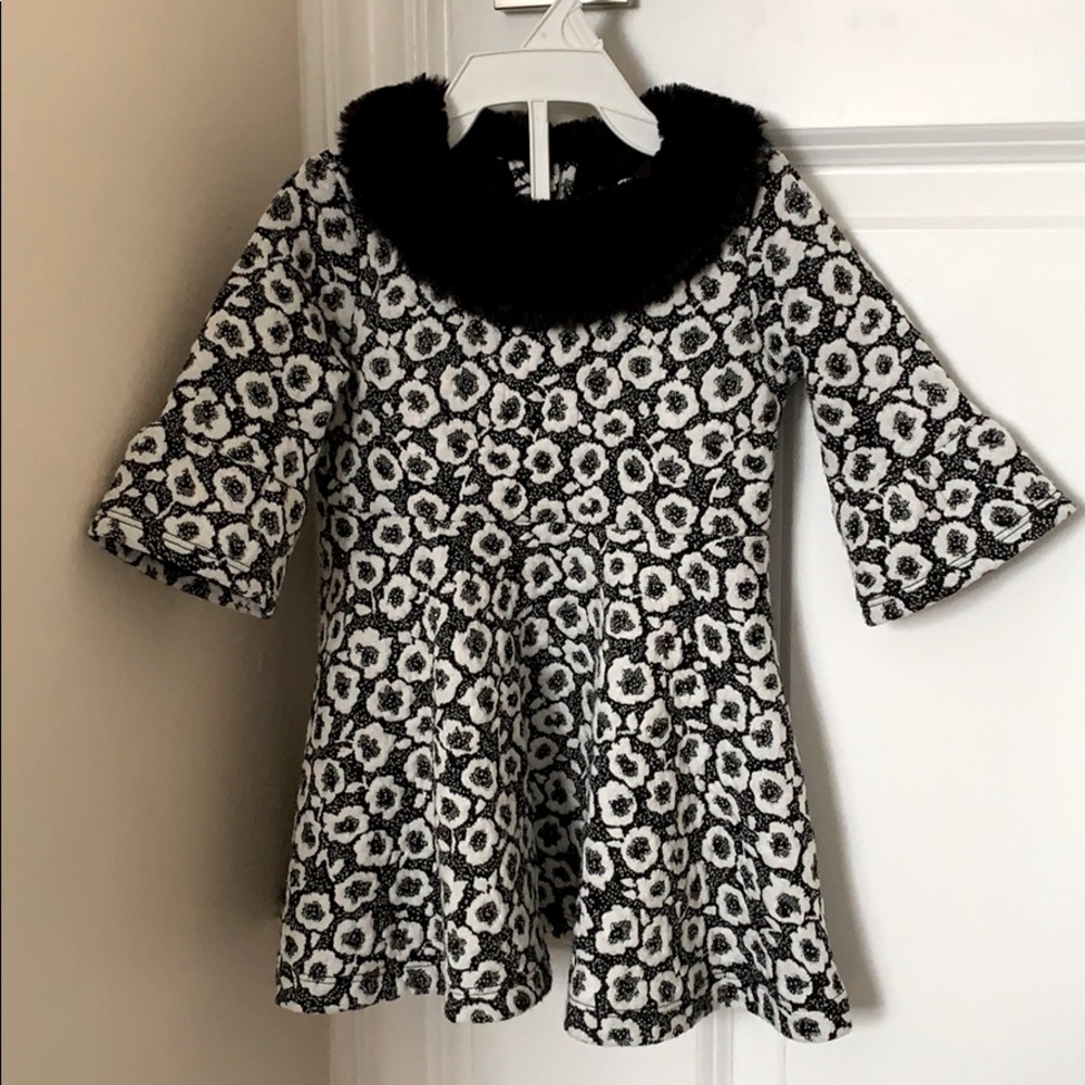Janie and Jack collar dress + tights